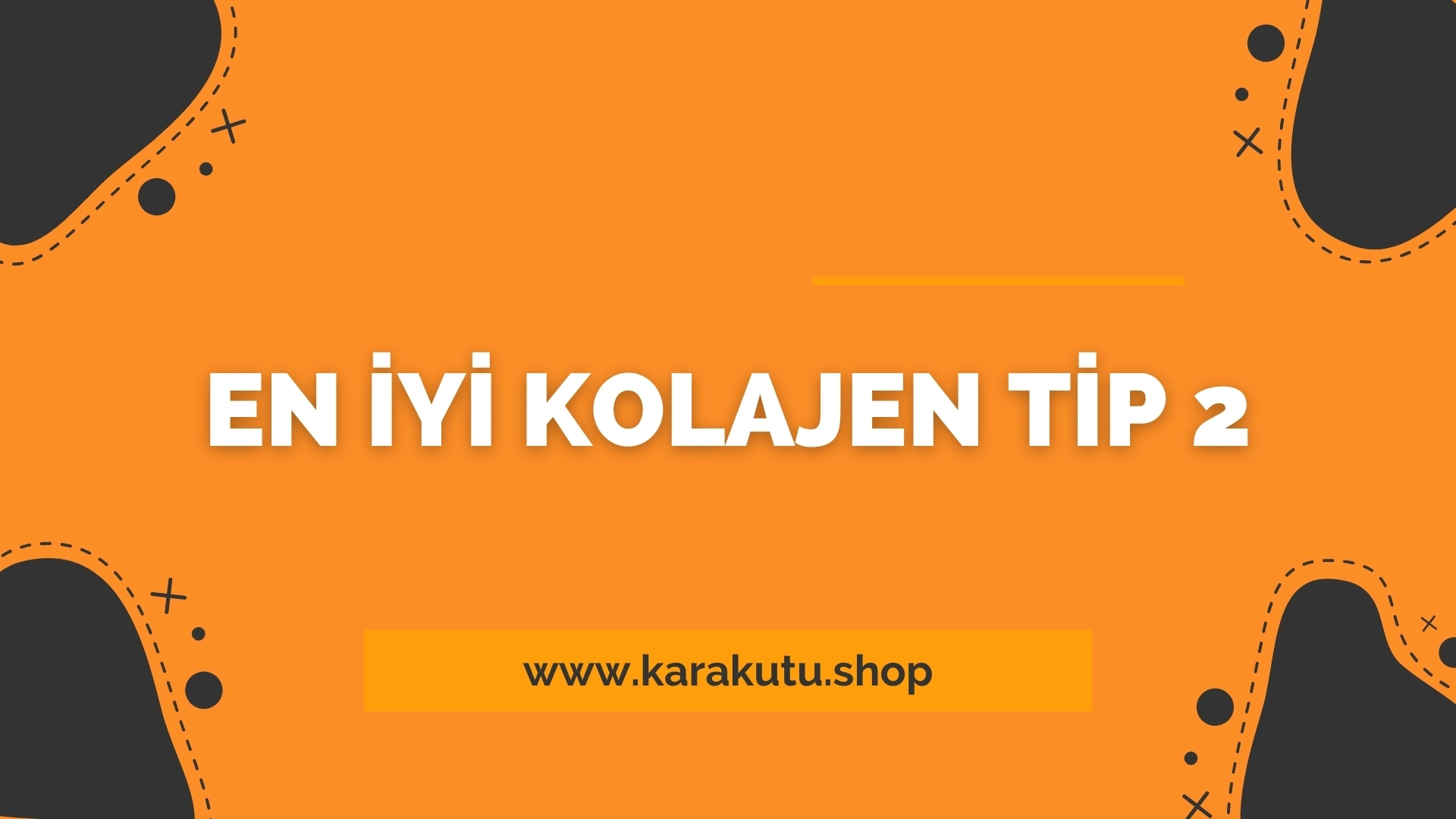 En İyi Kolajen Tip 2