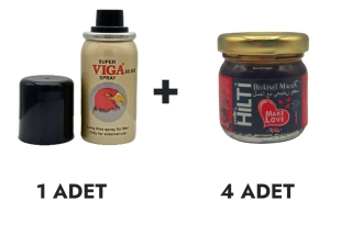 Viga 60000 Sprey ve Hilti Macun Küçük 4 Adet